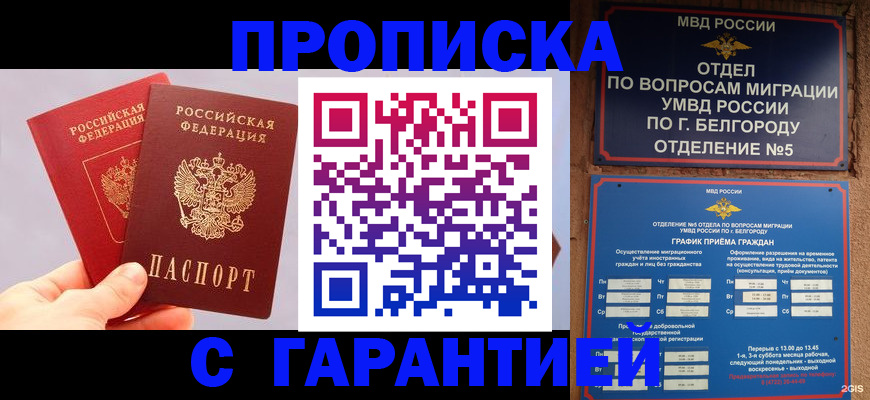 прописка 2025 в Прохладном